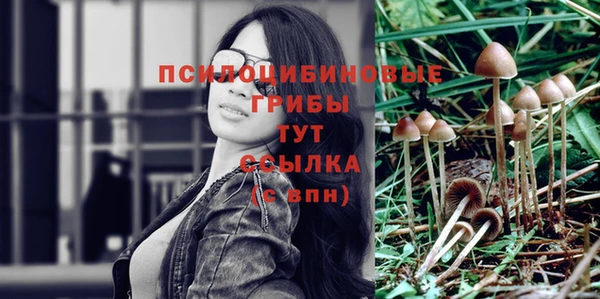 ешки Ладушкин